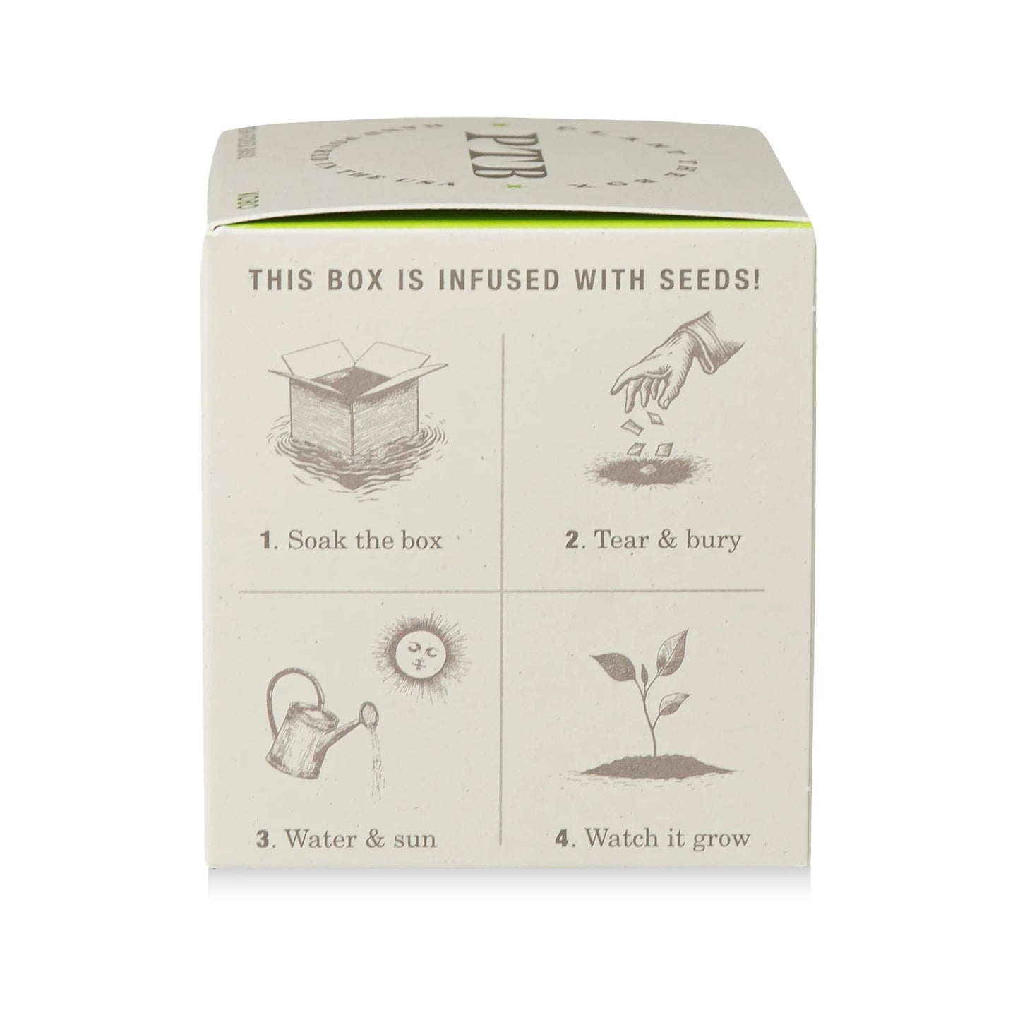 Plant The Box Fresh Picked Basil Candle 9oz