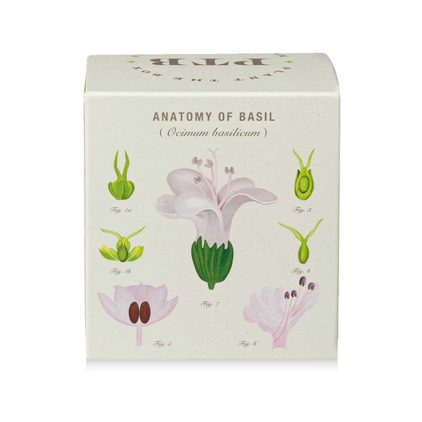 Plant The Box Fresh Picked Basil Candle 9oz
