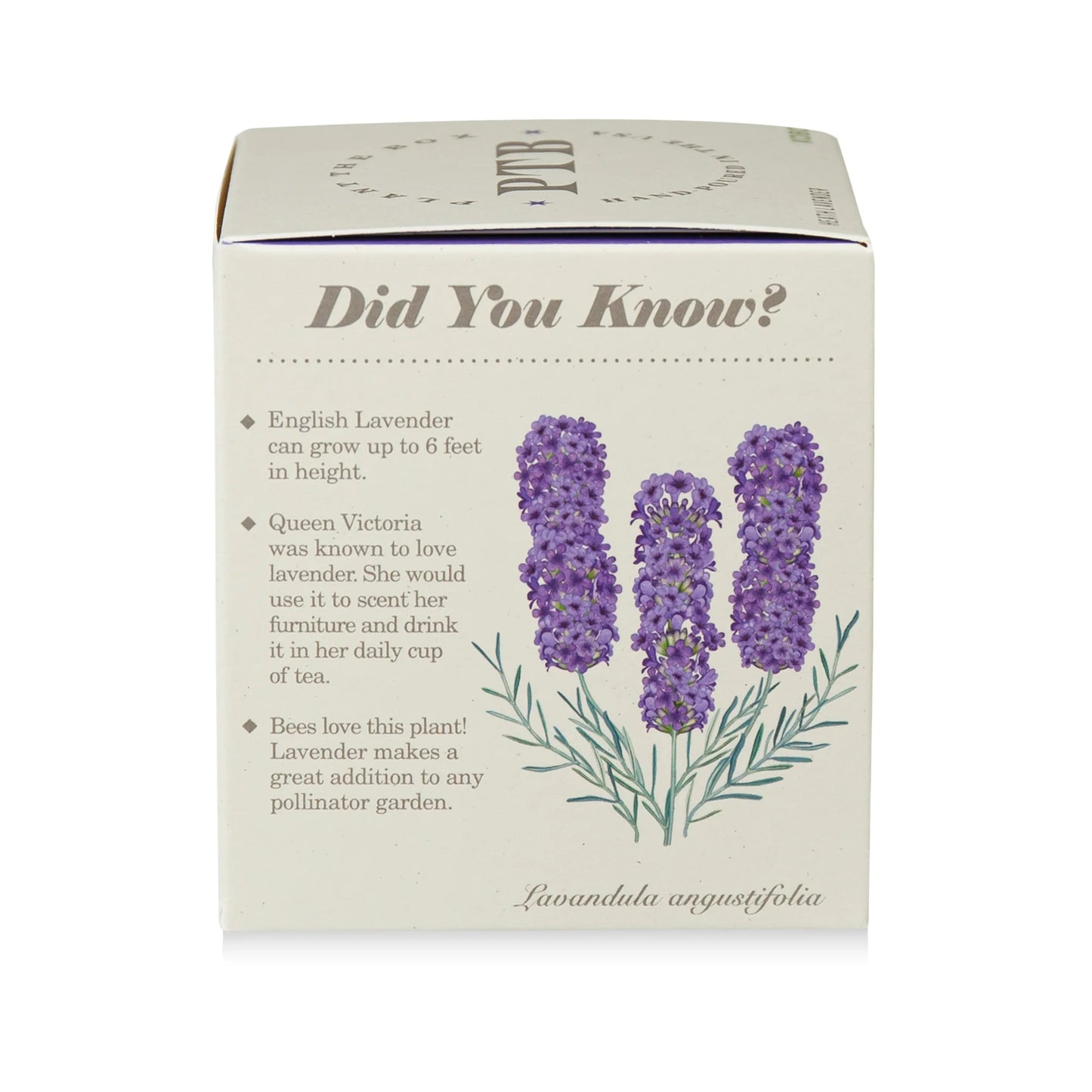 Plant The Box Heath Lavender Candle 9oz