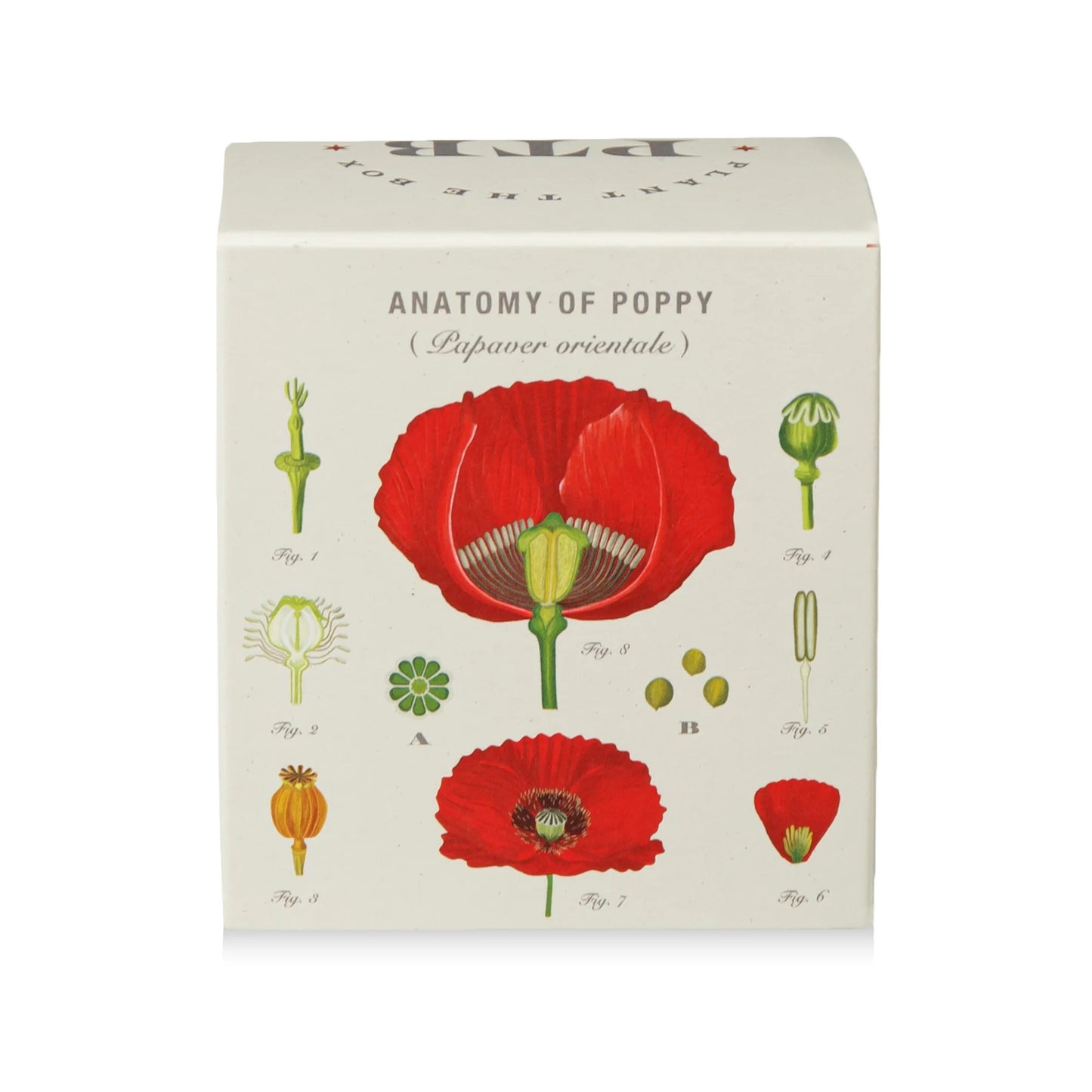 Plant The Box Red Poppy Candle 9oz