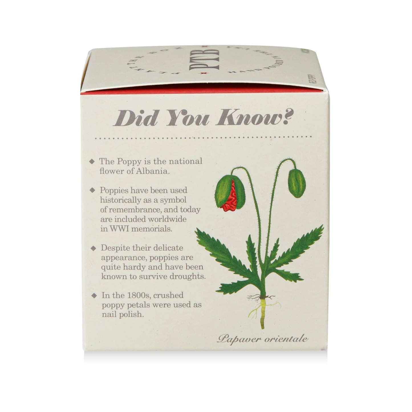 Plant The Box Red Poppy Candle 9oz