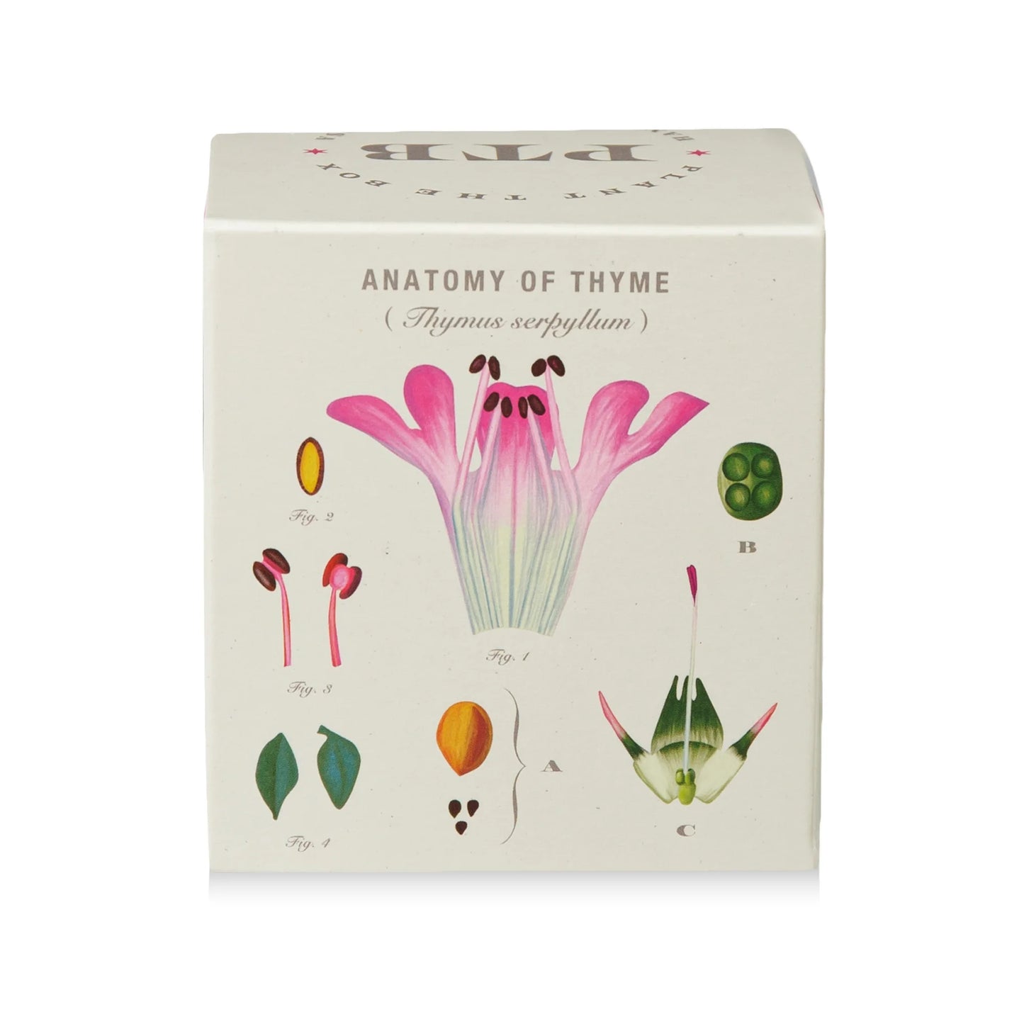 Plant The Box Somerset Thyme Candle 9oz