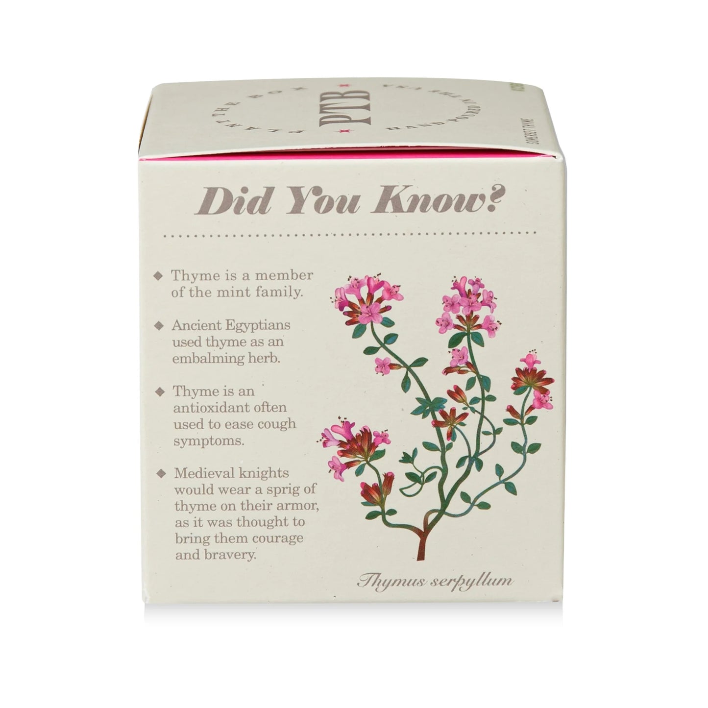 Plant The Box Somerset Thyme Candle 9oz