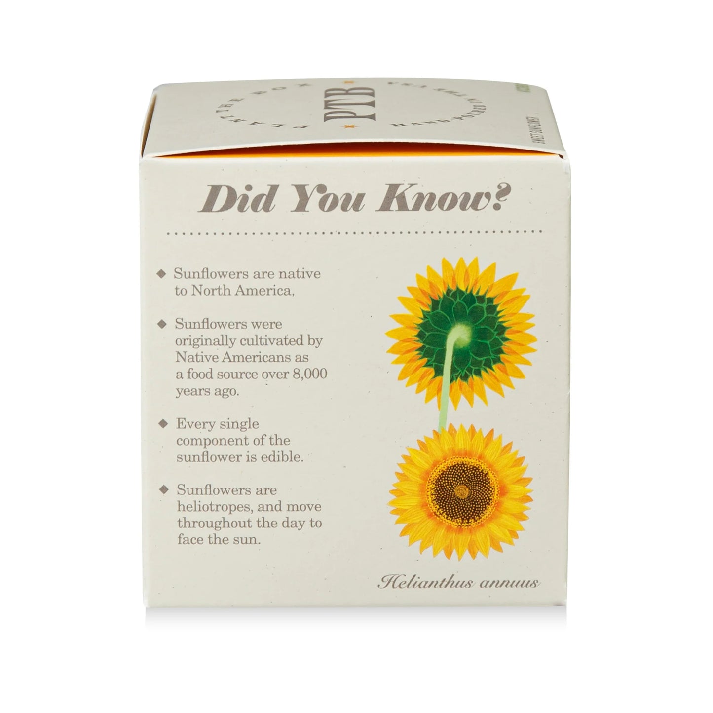 Plant The Box Sweet Sunflower Candle 9oz