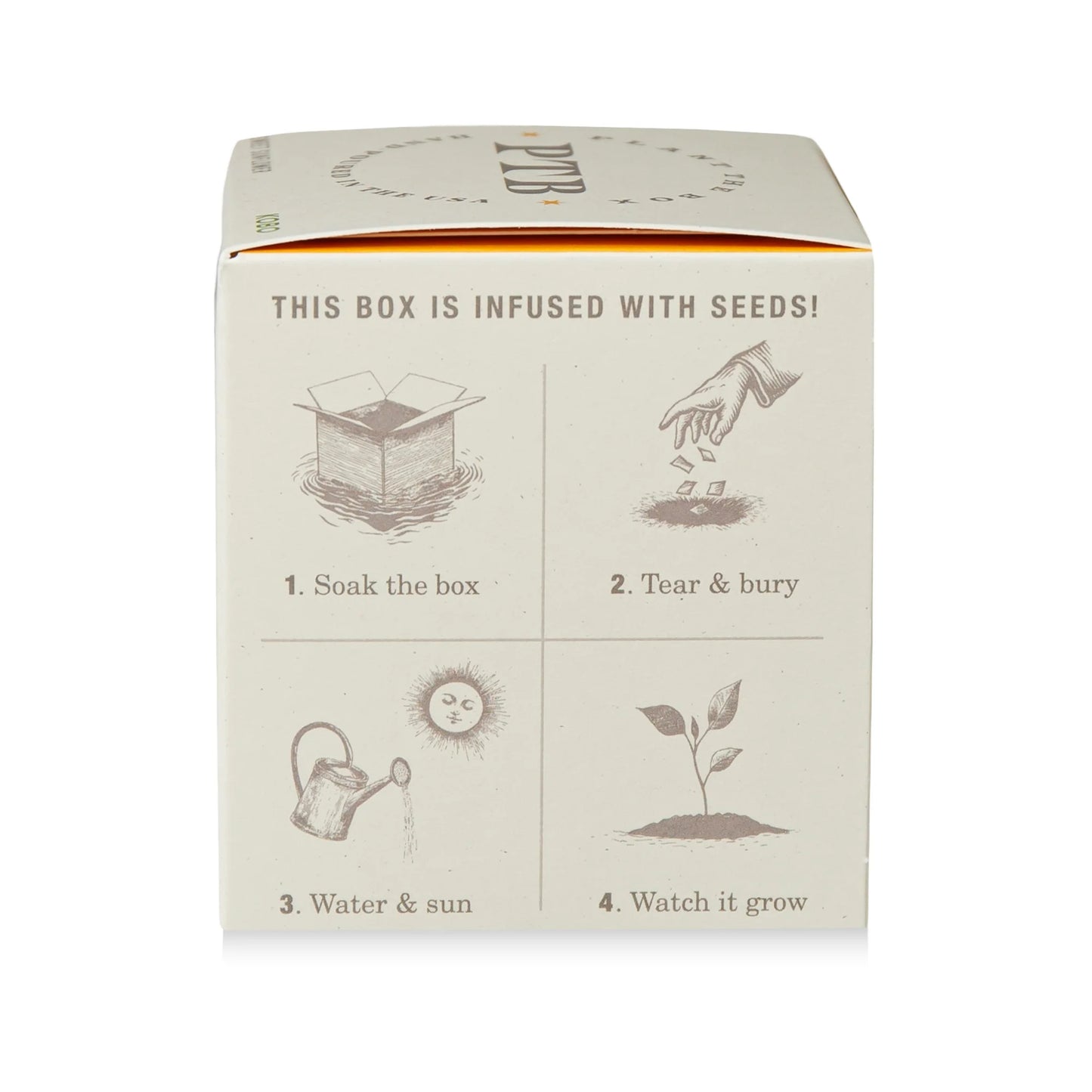 Plant The Box Sweet Sunflower Candle 9oz