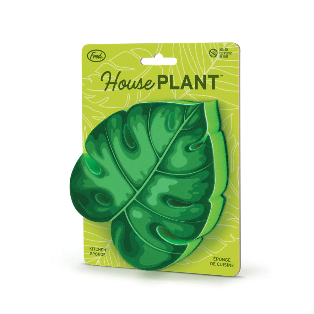 House Plant Kitchen Sponge