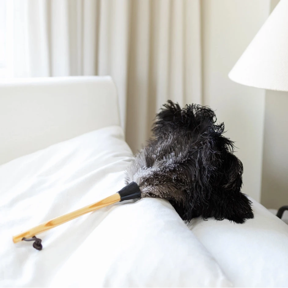 Feather Duster