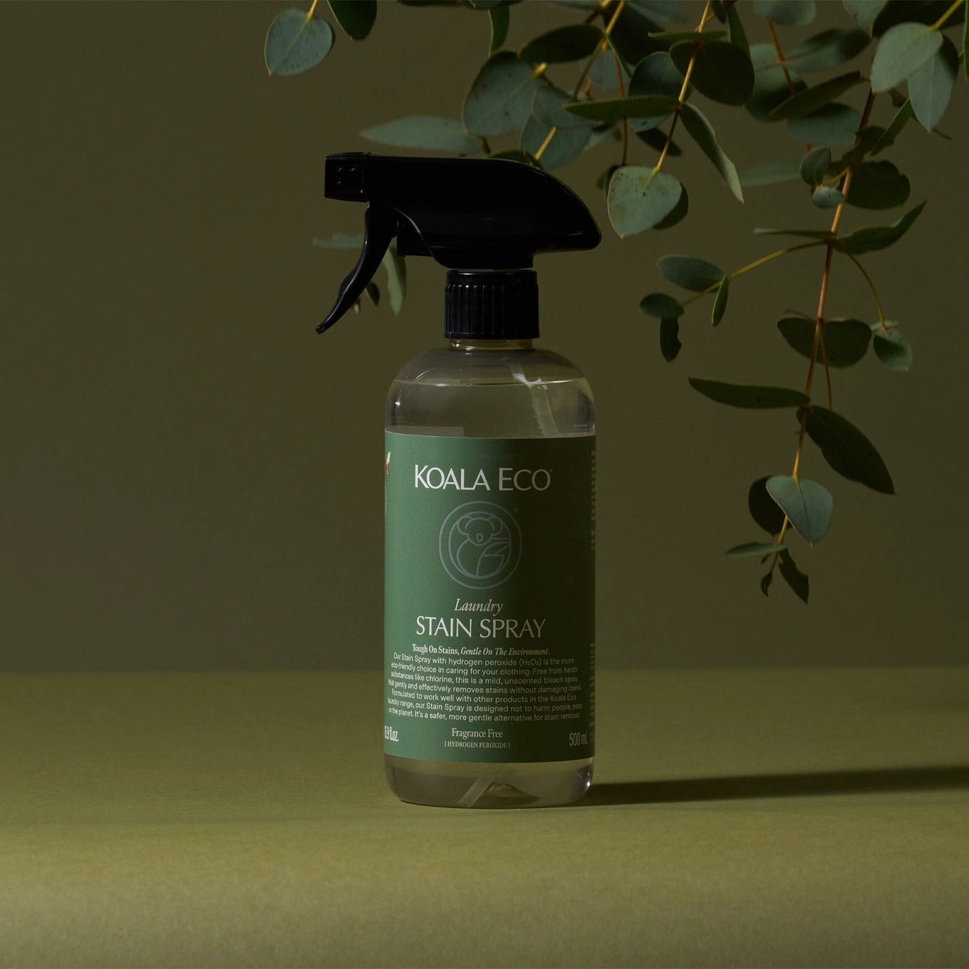 Laundry Stain Spray