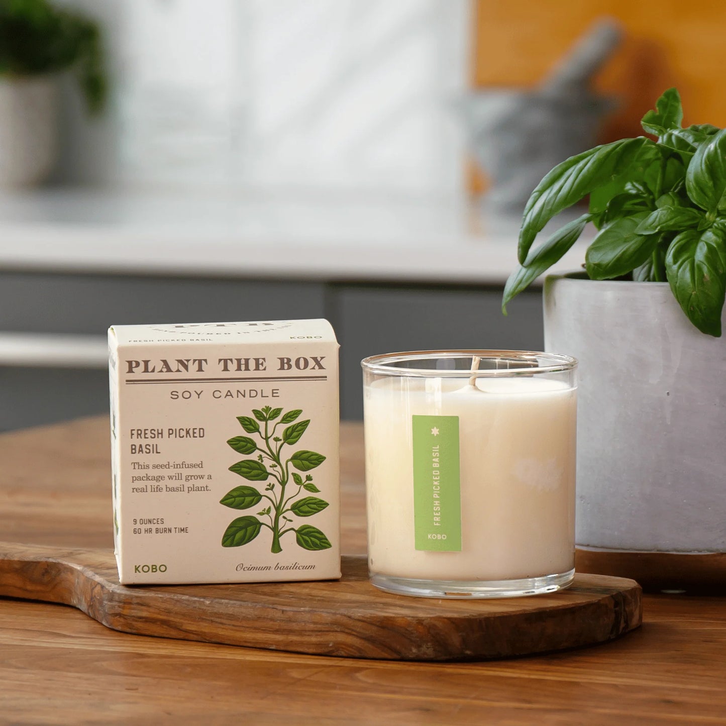 Plant The Box Fresh Picked Basil Candle 9oz