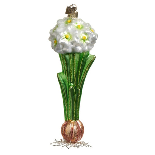 EC 7" Paperwhite Bulb Ornament