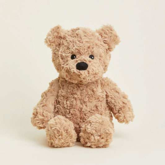Teddy Bear Warmie